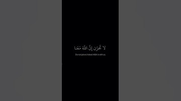 سورة التوبة _ الاية 40 _ تلاوة رائعة _ ❤️🙏📖