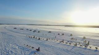 2020 Akiak Dash Start