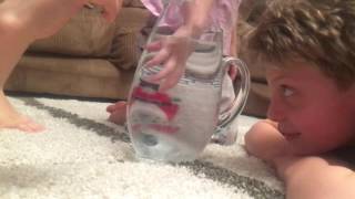 TOY REVIEW: HEXBUG AQUABOT WAHOO!!
