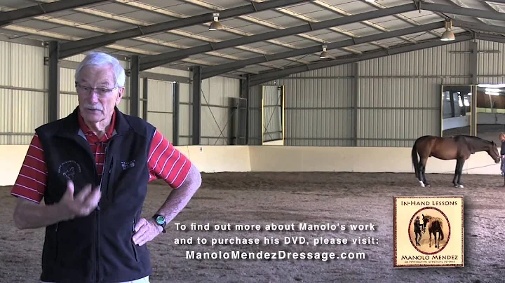 Kerry Ridgway, DVM reviews Manolo Mendez's In-Hand...