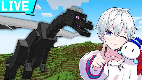 マイクラ リセット無しエンドラ討伐 マイクラ リセット無しエンドラ討伐