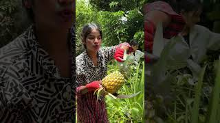 #lifeisbutadream #farming #fruit
