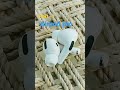 Airpodpro shorts earpod deeputhakurbsr tech.siphone apple