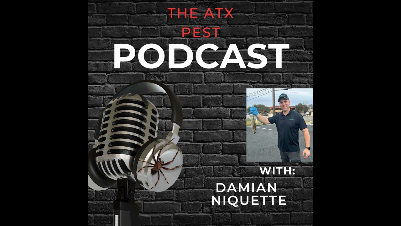 Essential Tips for Choosing Top-Quality Pest Control Services