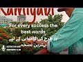 For every success in life /بہترین کامیابی کا نایاب نسخہ/A rare and unique solution for ever success