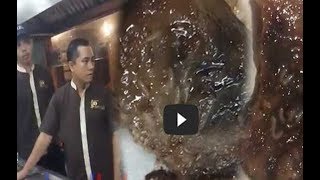 Viral, Restoran Sajikan Makanan Berulat di Salah Satu Mall Jakarta