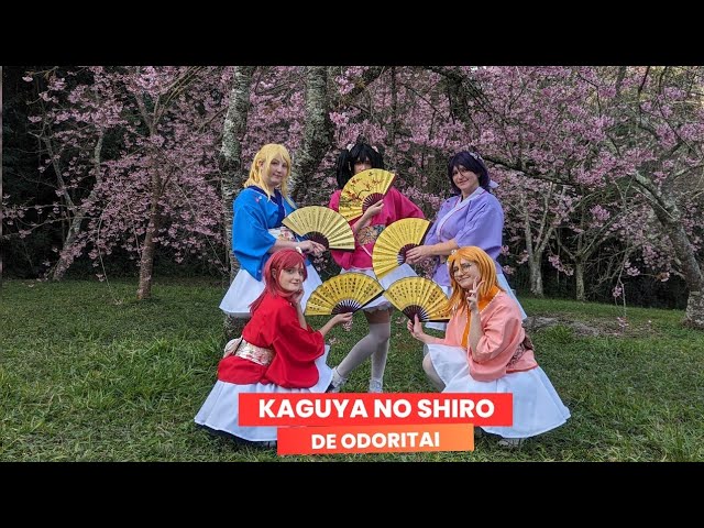 Kaguya no Shiro de Odoritai 🏮 - Sakura Matsuri