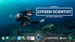 Becoming a Citizen Scientist for Turtle Conservation - LAMAVE