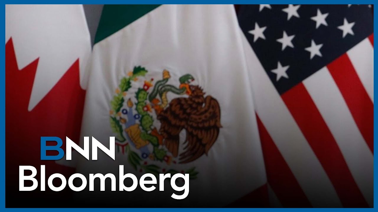 Canada, U.S. and Mexico customs union could 'harmonize tariffs': law expert