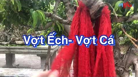 Vợt Xúc Cá, Vợt Đựng ếch...Dùng nhiều mục đích khác nhau Zalo:0938.336.470 A Đẩu