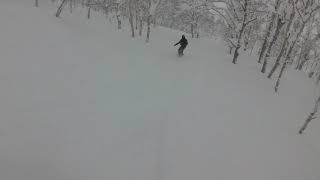 20190210 Damon Trees 1