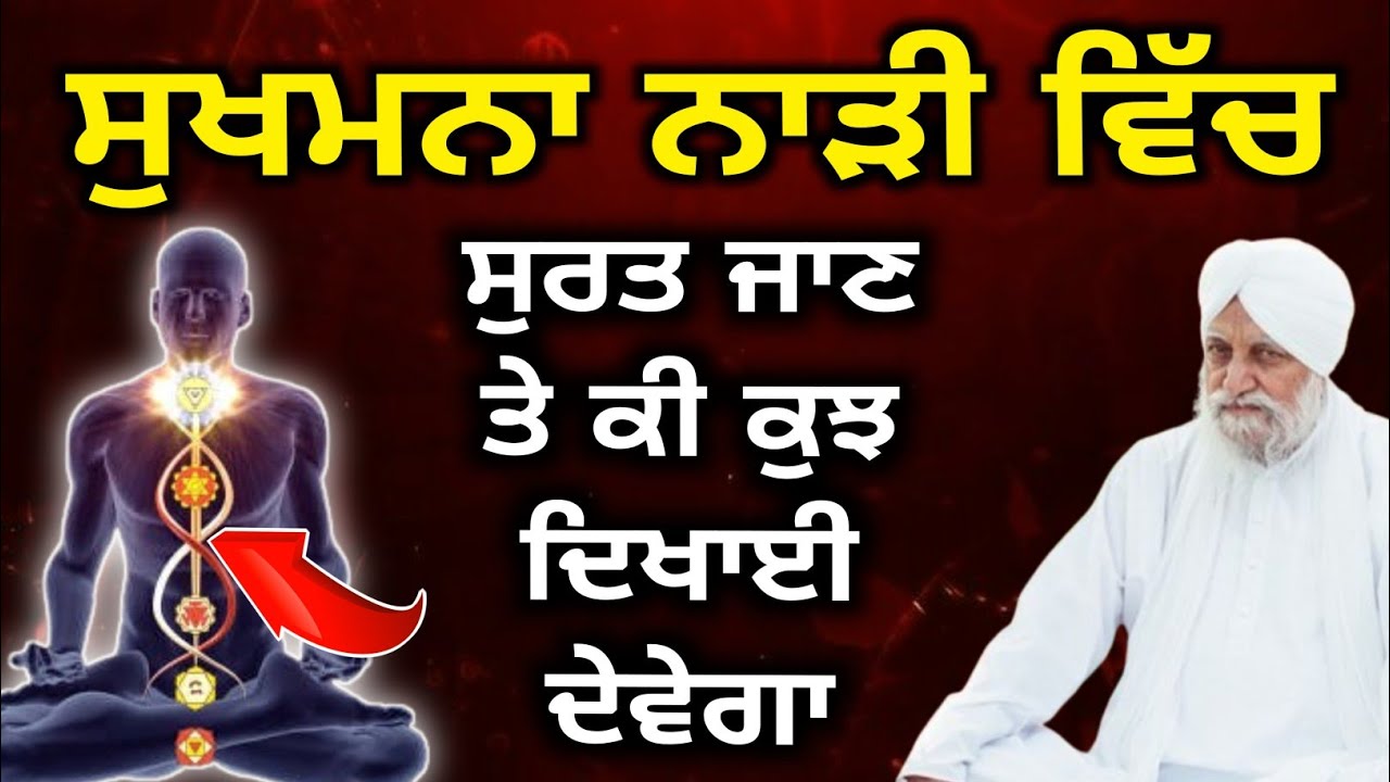 Sukhmana narri di shakti sant waryam singh ji 