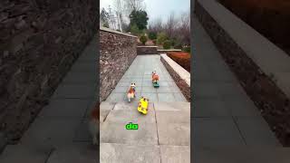 Kaykay Yarışı Kim Önce Varacak 😱