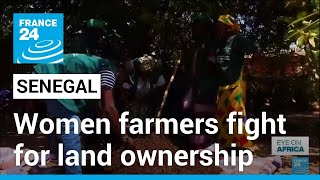 Senegal's women farmers fight for land ownership • FRANCE 24 English