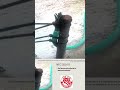 Zip ties to ground rod ! Really! See full video.#electrical #inspector #codes