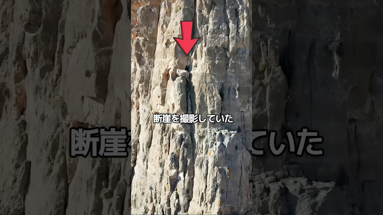 垂直に近い崖を登るヤギ