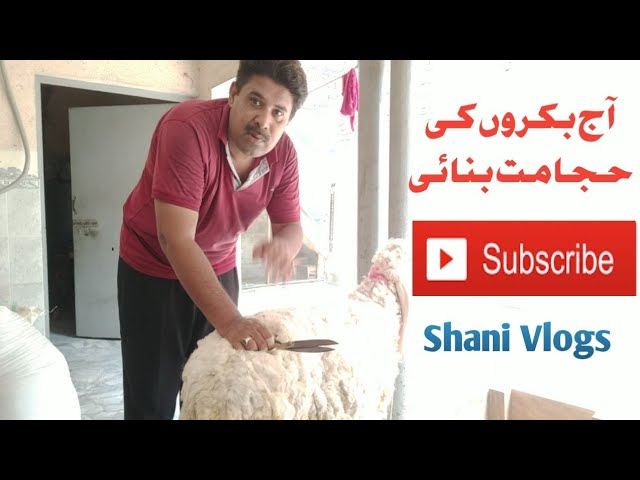 Aaj Bakro Ki Hjamat Bnai ! By Shani Vlogs