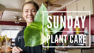 Sunday Plant Care | First Vlog of 2021