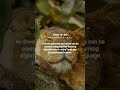 Creating AI-driven Personal Assistants :: 2026-03-13 #shorts #TechTips #dotKey
