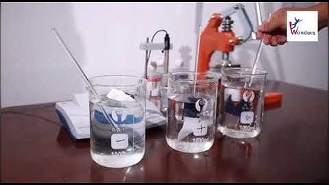 Wonders Testing Laboratory -- Fabric color fastness testing