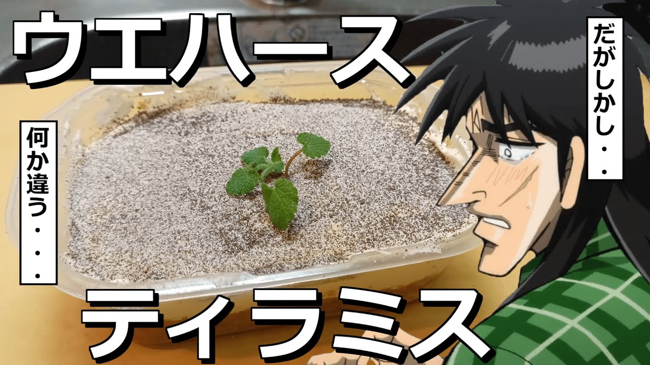 Kaiji makes unnecessarily expensive tiramisu from cheap wafers
