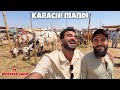 Karachi Mandi Main Agaye 😍 Yeh Kon Mil Giya ?