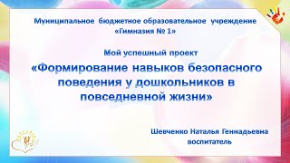 Мой успешный проект Шевченко Н Г