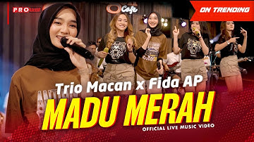 Trio Macan X Fida AP - Madu Merah #secangkirmadumerah (Official Music Video) | Live Version