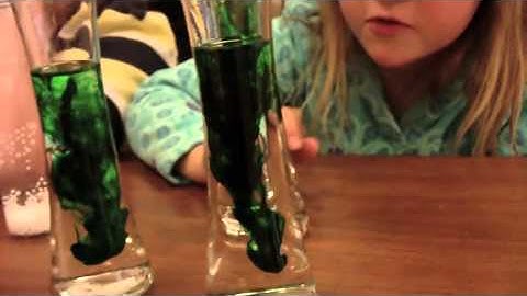 Science of Saint Patrick