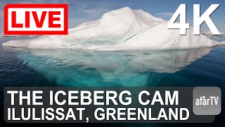 ? Live Now: 24/7 Iceberg Cam of Ilulissat, Greenland in 4K Ultra HD