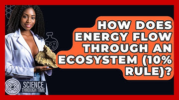 How Does Energy Flow Through An Ecosystem (10% Rule)? - Science Through Time