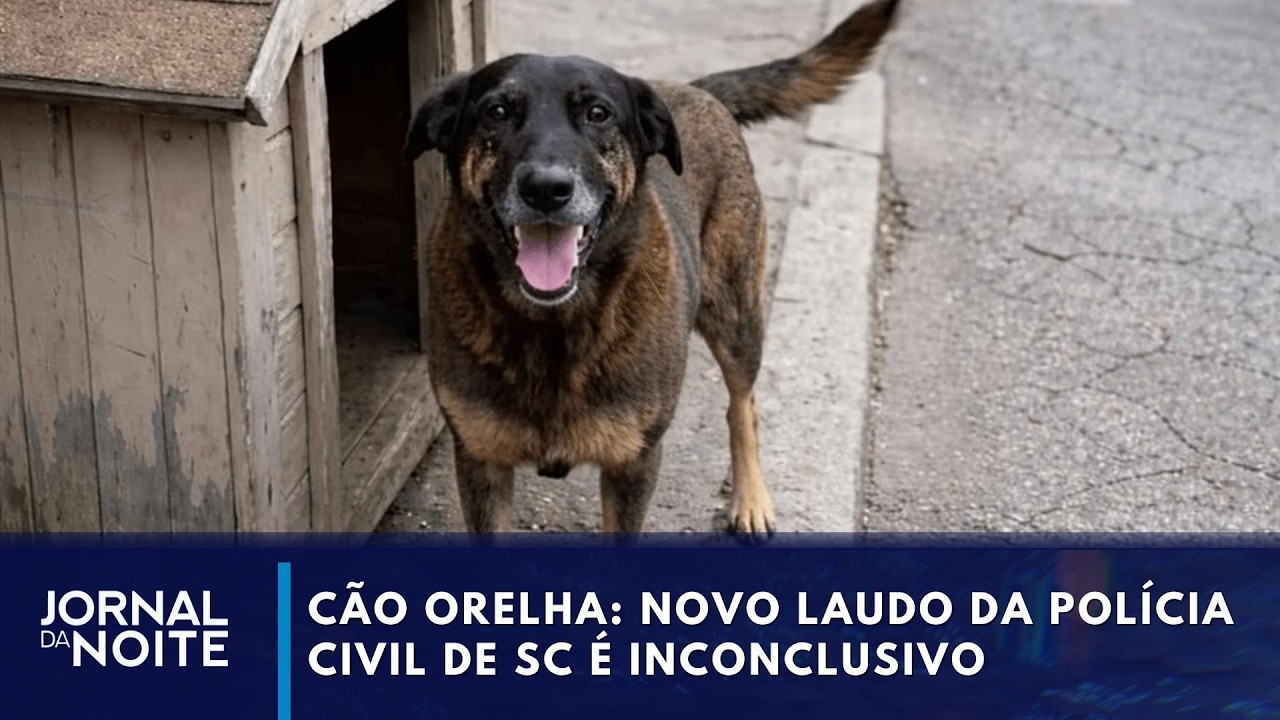 Caso Orelha: novo laudo é inconclusivo