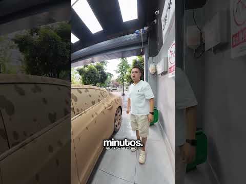 le ofrecieron cinco veces más por limpiar este coche y ocurrió esto