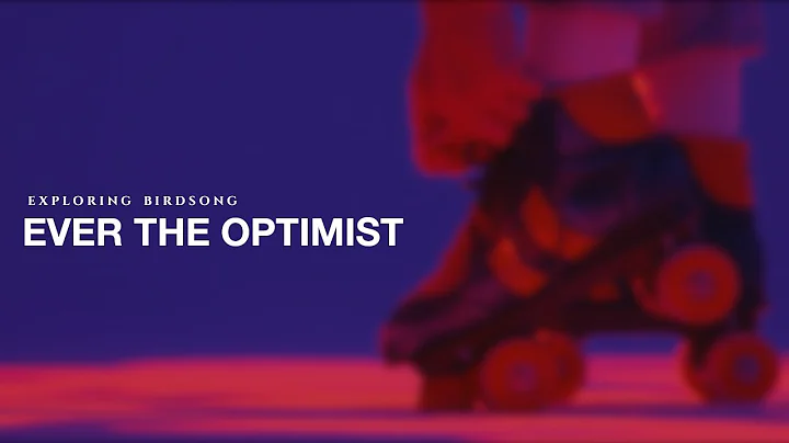 Exploring Birdsong - Ever The Optimist (Official V...