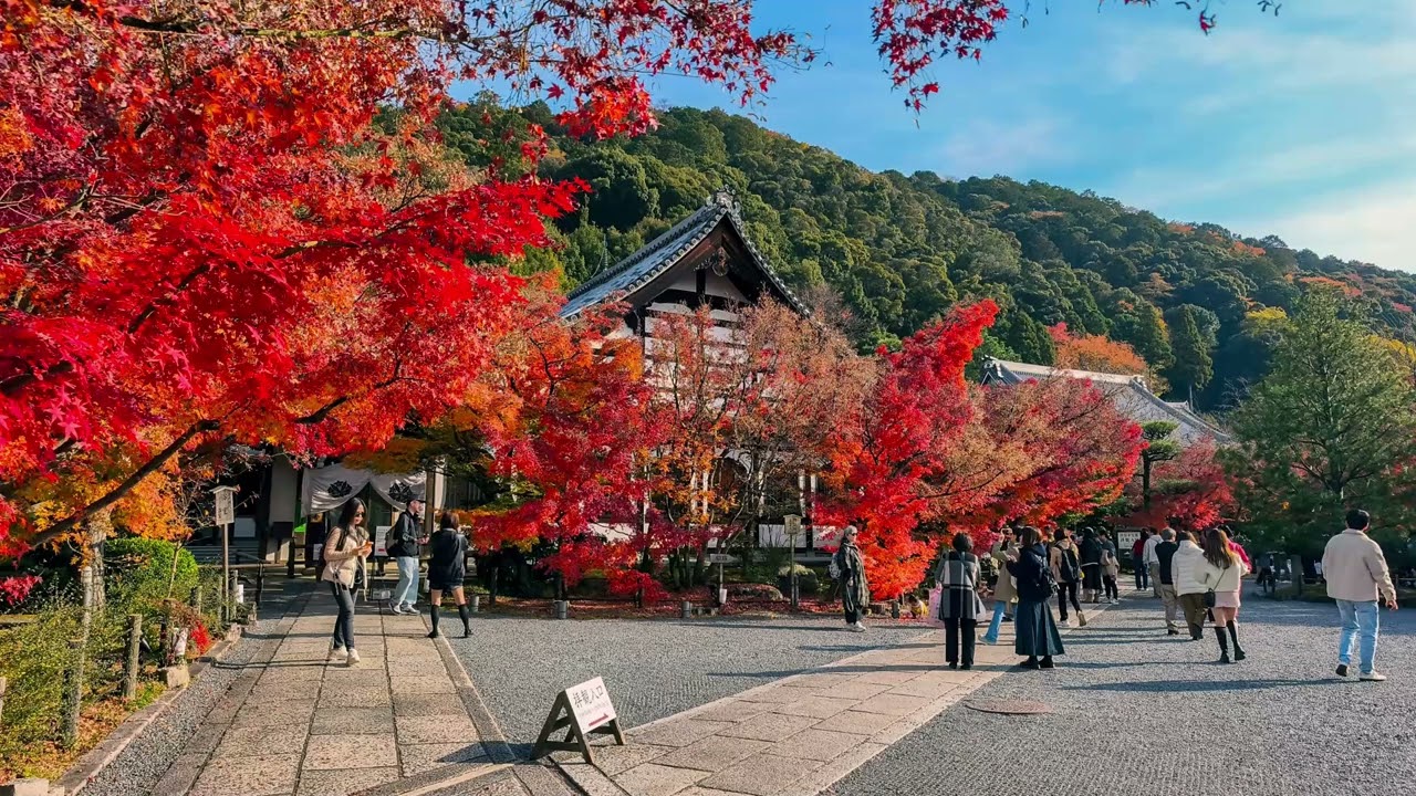 2025 永觀堂秋色楓紅