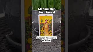 Mediumship Skills Test Reveal