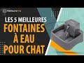 ⭐️ MEILLEURE FONTAINE À EAU POUR CHAT - Avis & Guide d'achat (Comparatif 2021)