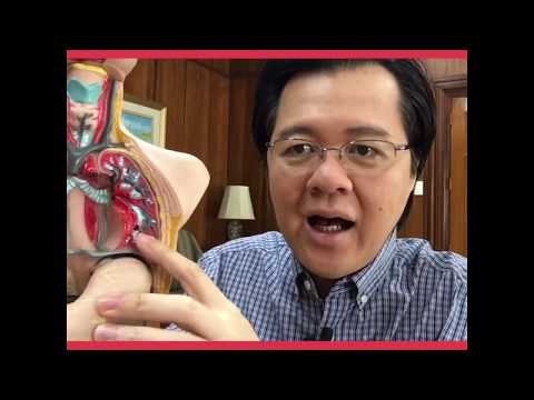 Video: Paano Makakonekta Sa Isang Mabulunan