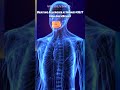 Beating Allergies at Home!? #SLIT #AllergyRelief  #science