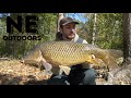 Early Fall Carp Fishing Action in Central Massachusetts