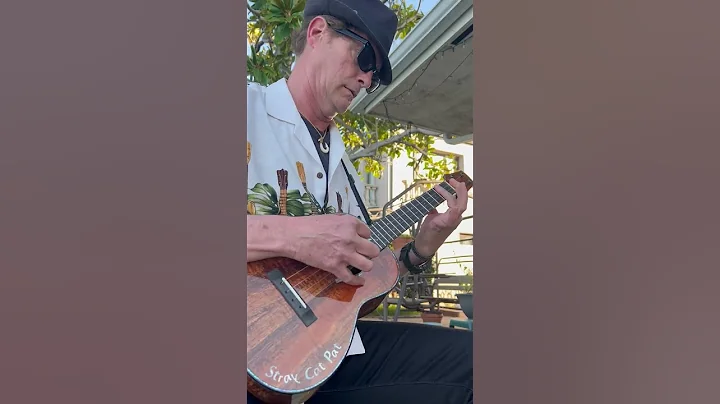 Stairway to Heaven - Ukulele - #straycatpat - #sho...