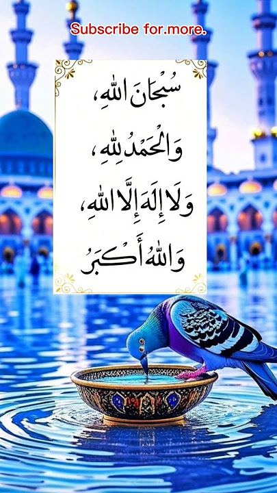 *The Four Powerful Words of Dhikr (Tasbeeh)* #shorts #shortsfeed #islamicshorts #dua #duaa #fyp