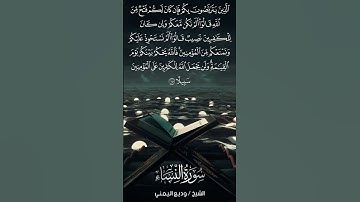 سورة النساء | An-Nisā’ | آية 141 | الشيخ وديع اليمني