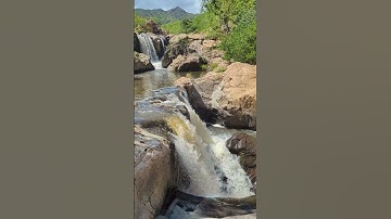 Thác trong rừng sâu