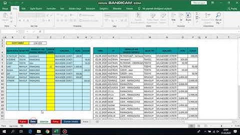 smmm cari takip prgramı