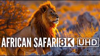 Wild Ecuador: Incredible Creatures from Amazon to Galápagos | Free Documentary Nature Wild Ecuador Incredible Creatures From Amazon To Galápagos Free Documentary Nature