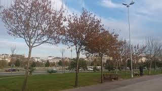 Pendik Sahili Etrafina Bak 2