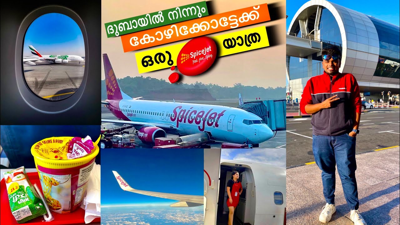 ⭕️Dubai to Calicut On Spicejet Flight | ദുബായിൽ നിന്നും നാട്ടിലേക്ക് | Food and Travelist | 
