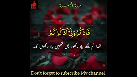 سورة البقرة / آية 152 -153 تلاوة :- قاري حافظ محمد عاصم العفس...