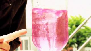 Science Cinema Tour At Georges Dock